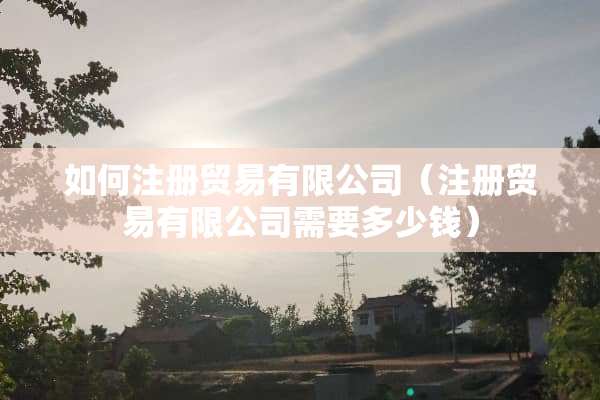 如何注册贸易有限公司（注册贸易有限公司需要多少钱）