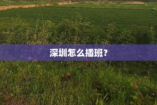深圳怎么插班？