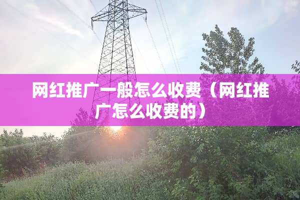 网红推广一般怎么收费（网红推广怎么收费的）