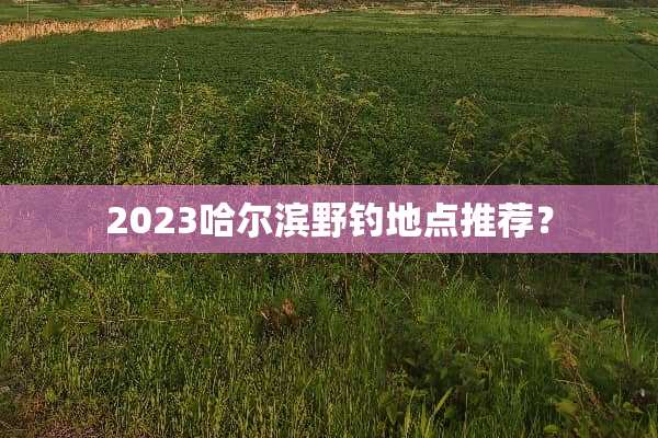2023哈尔滨野钓地点推荐？
