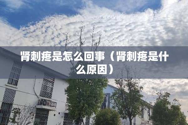 肾刺疼是怎么回事（肾刺疼是什么原因）