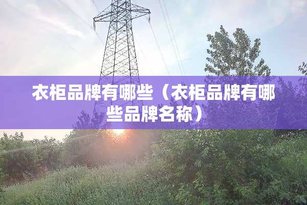 衣柜品牌有哪些（衣柜品牌有哪些品牌名称）