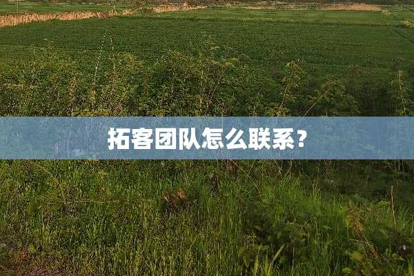 拓客团队怎么联系？