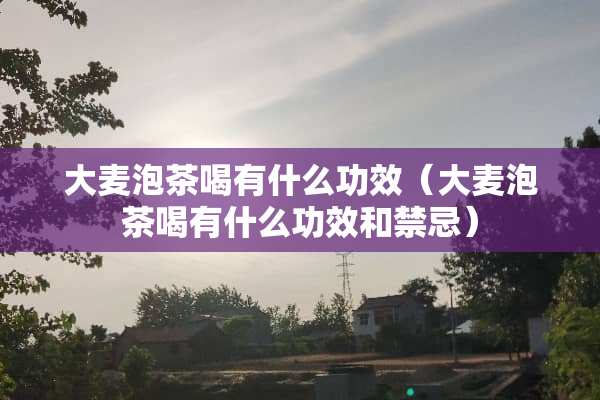 大麦泡茶喝有什么功效（大麦泡茶喝有什么功效和禁忌）