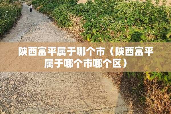 陕西富平属于哪个市（陕西富平属于哪个市哪个区）