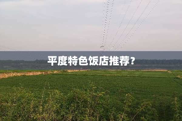平度特色饭店推荐？