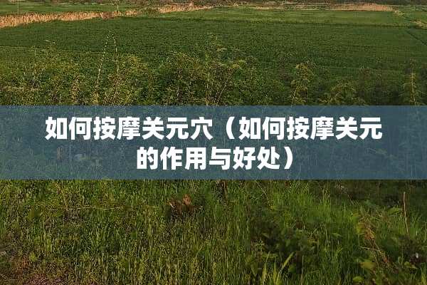 如何按摩关元*（如何按摩关元的作用与好处）