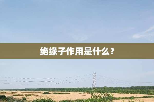 绝缘子作用是什么？