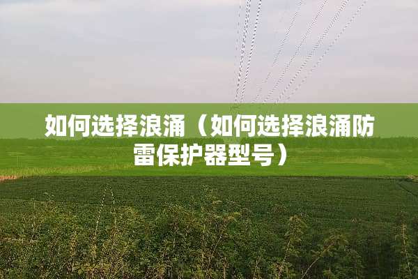 如何选择浪涌（如何选择浪涌防雷保护器型号）