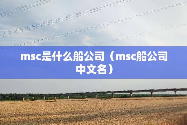 msc是什么船公司（msc船公司中文名）