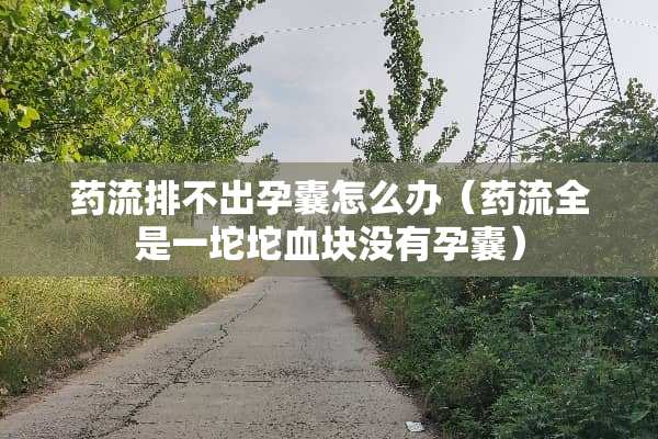 药流排不出孕囊怎么办（药流全是一坨坨血块没有孕囊）