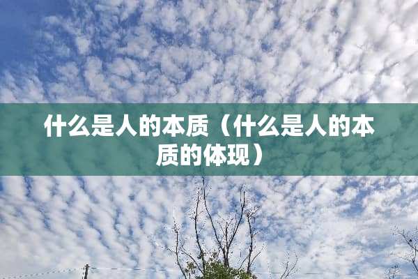 什么是人的本质（什么是人的本质的体现）