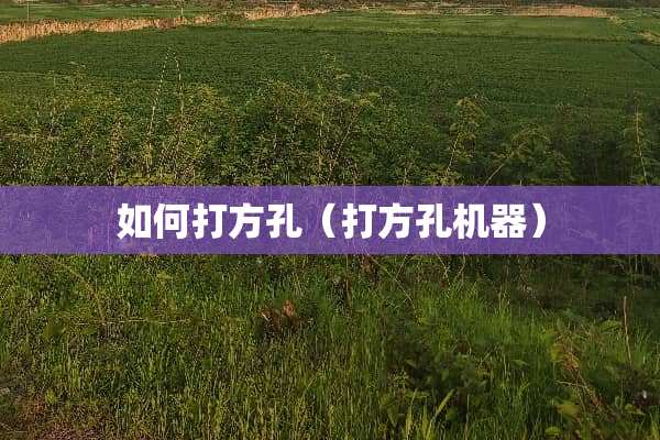 如何打方孔（打方孔机器）