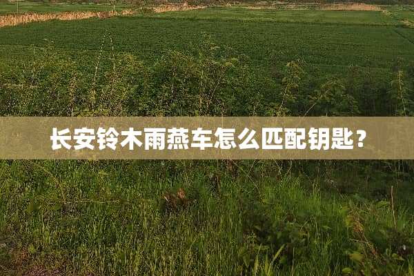 长安铃木雨燕车怎么匹配钥匙？