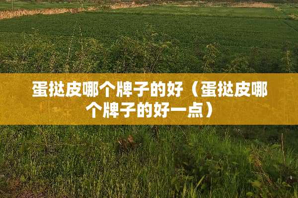 蛋挞皮哪个牌子的好（蛋挞皮哪个牌子的好一点）