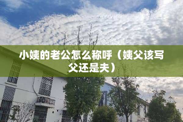 小姨的老公怎么称呼（姨父该写父还是夫）
