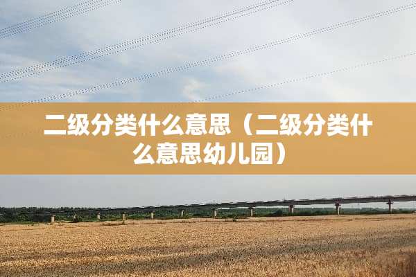 二级分类什么意思（二级分类什么意思幼儿园）