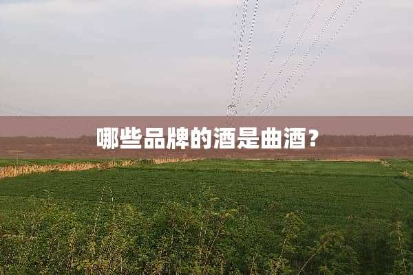 哪些品牌的酒是曲酒？