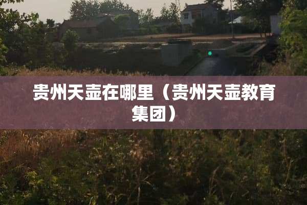 贵州天壶在哪里（贵州天壶教育集团）