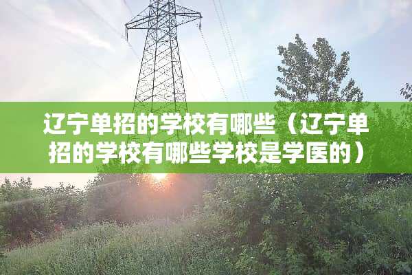 辽宁单招的学校有哪些（辽宁单招的学校有哪些学校是学医的）