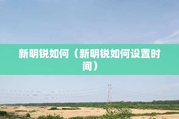 新明锐如何（新明锐如何设置时间）
