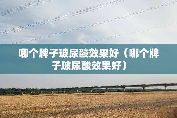 哪个牌子玻尿酸效果好（哪个牌子玻尿酸效果好）
