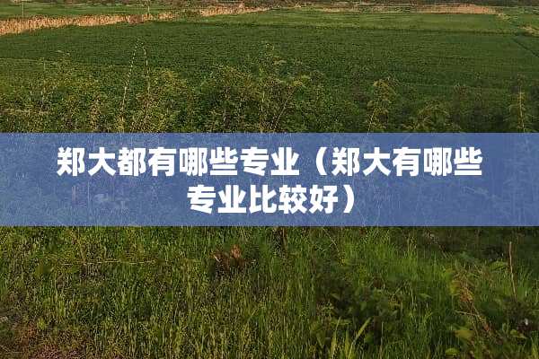 郑大都有哪些专业（郑大有哪些专业比较好）