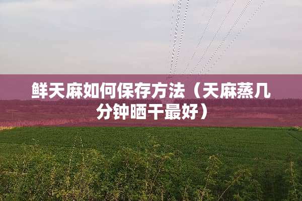 鲜天麻如何保存方法（天麻蒸几分钟晒干最好）