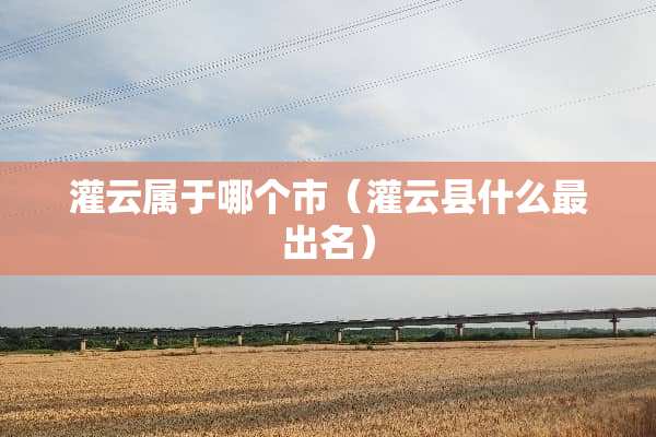 灌云属于哪个市（灌云县什么最出名）