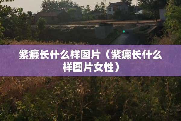 紫癜长什么样图片（紫癜长什么样图片女性）