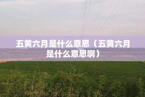 五黄六月是什么意思（五黄六月是什么意思啊）