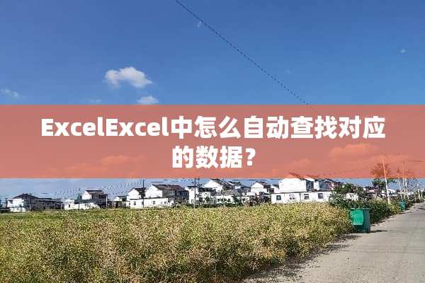ExcelExcel中怎么自动查找对应的数据？