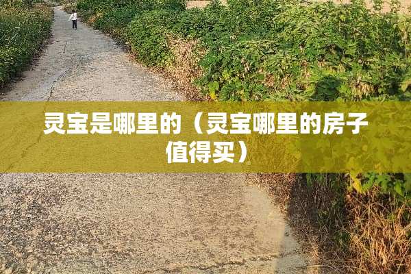 灵宝是哪里的（灵宝哪里的房子值得买）