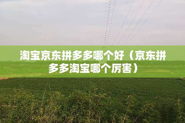 淘宝京东拼多多哪个好（京东拼多多淘宝哪个厉害）