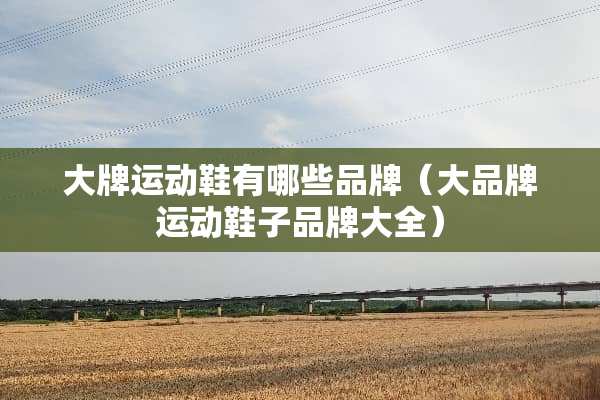 大牌运动鞋有哪些品牌（大品牌运动鞋子品牌大全）