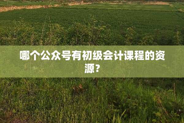 哪个公众号有初级会计课程的资源？