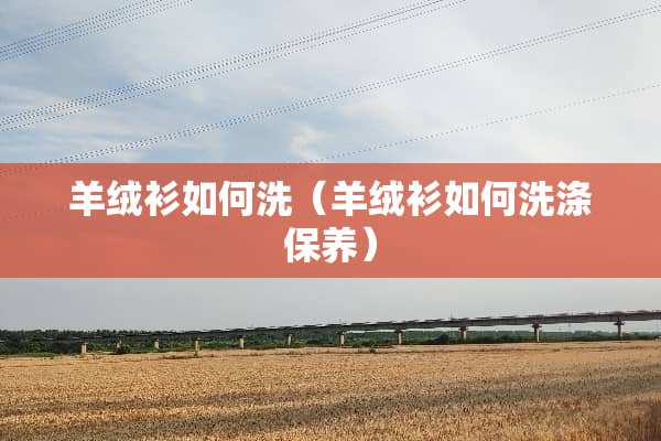 羊绒衫如何洗（羊绒衫如何洗涤保养）
