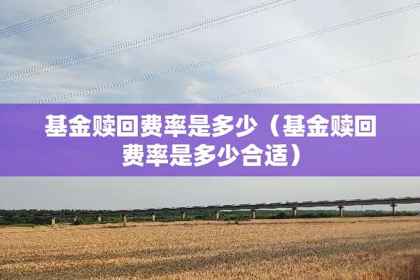 基金赎回费率是多少（基金赎回费率是多少合适）