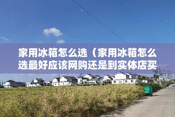 家用冰箱怎么选（家用冰箱怎么选最好应该网购还是到实体店买）