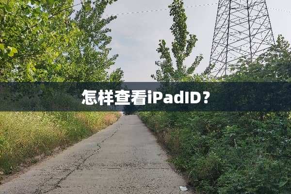 怎样查看iPadID？