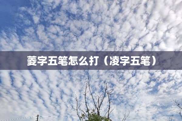 菱字五笔怎么打（凌字五笔）