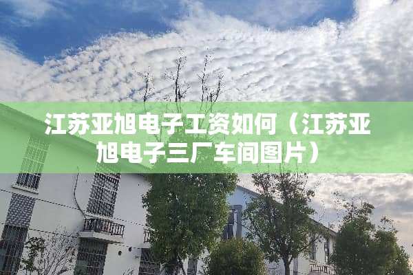 江苏亚旭电子工资如何（江苏亚旭电子三厂车间图片）