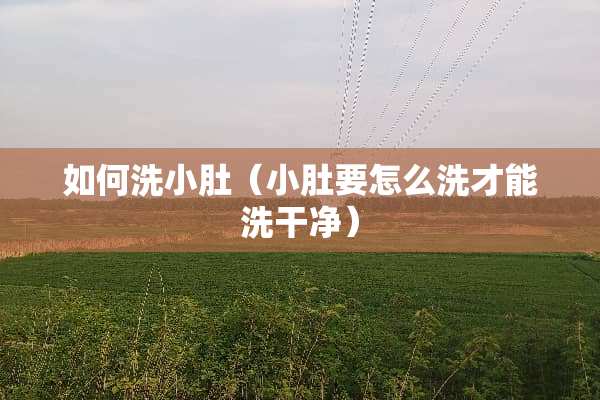 如何洗小肚（小肚要怎么洗才能洗干净）