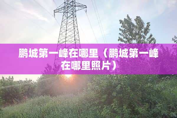 鹏城第一峰在哪里（鹏城第一峰在哪里照片）