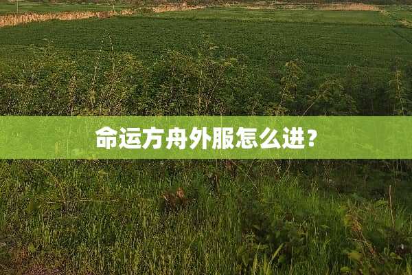 命运方舟外服怎么进？