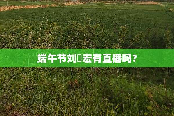 端午节刘畊宏有直播吗？