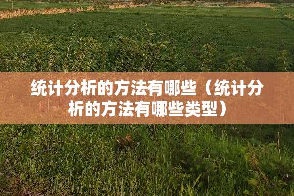 统计分析的方法有哪些（统计分析的方法有哪些类型）