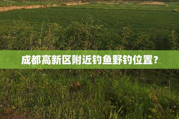 成都高新区附近钓鱼野钓位置？