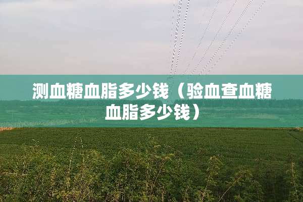 测血糖血脂多少钱（验血查血糖血脂多少钱）