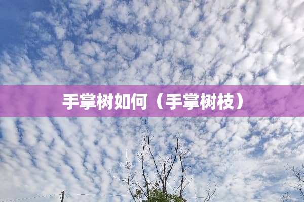 手掌树如何（手掌树枝）